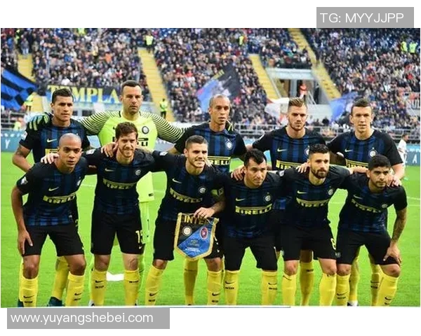 南京排球队在城市联赛中的团队协作表现分析与点评