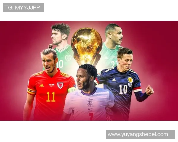 深圳网球队在世界杯积分榜上以71分稳居第一名引发关注