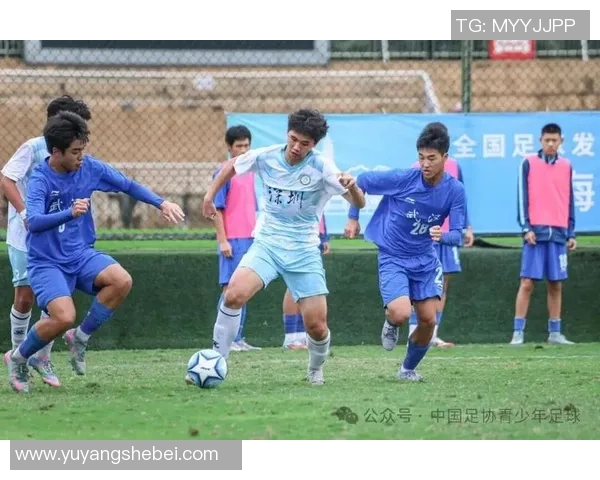 深圳足球队在锦标赛中的比赛经验与表现分析与点评