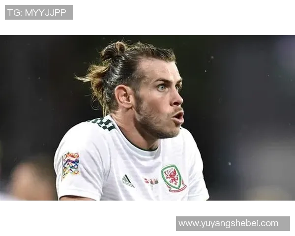 足球巨星贝尔的多重昵称揭秘及其背后的故事分析